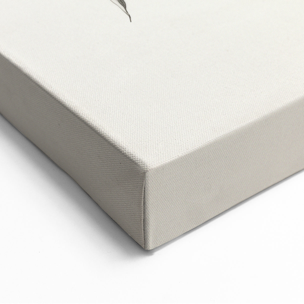 Minimalist Floral Abstract Art: Intricate Botanical Illustration