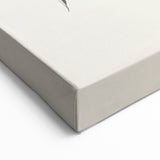 Minimalist Floral Abstract Art: Intricate Botanical Illustration