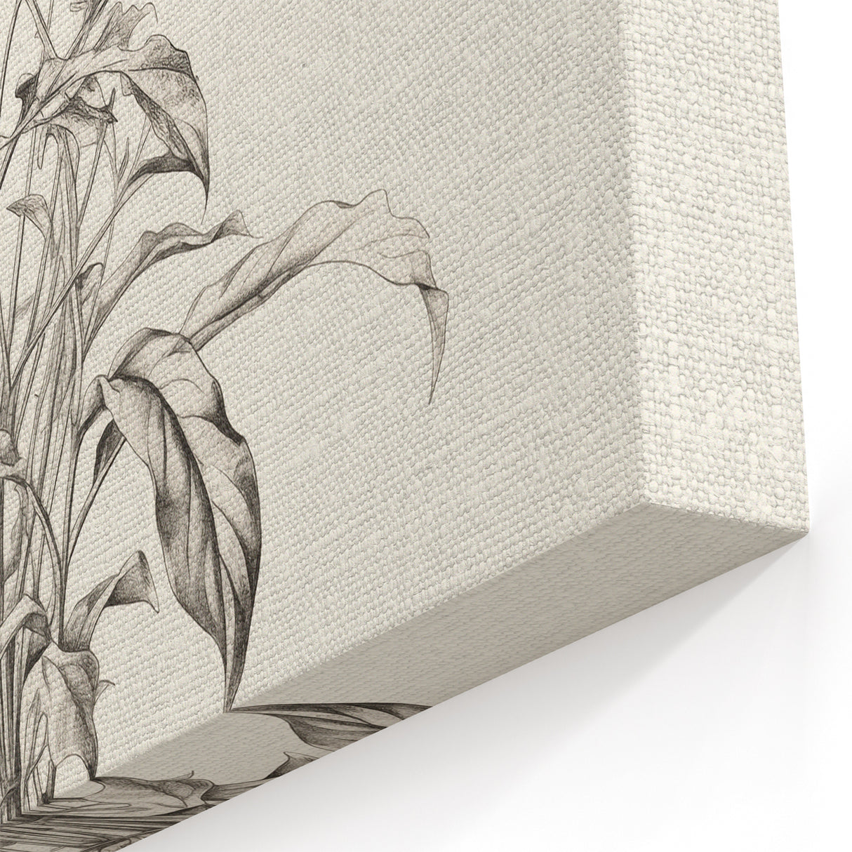 Minimalist Floral Abstract Art: Intricate Botanical Illustration