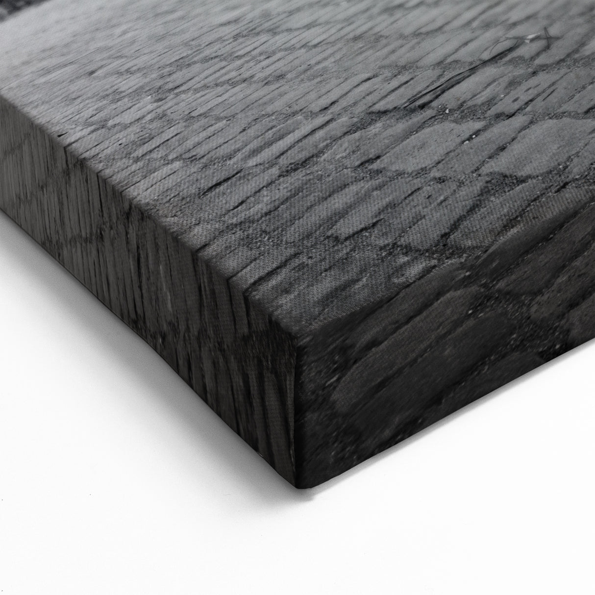 Ancient Ruins Wall Art - Iconic Roman Colosseum Black and White Canvas