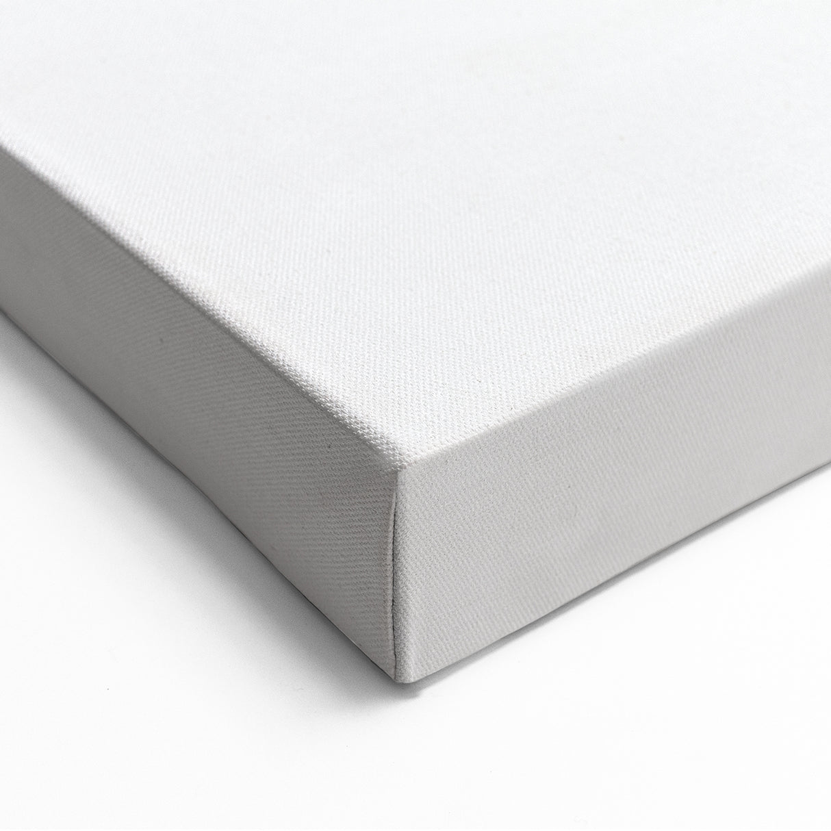 Minimalist Botanical Art: Contemporary Line and Leaf Design in Neutrals