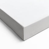 Minimalist Botanical Art: Contemporary Line and Leaf Design in Neutrals