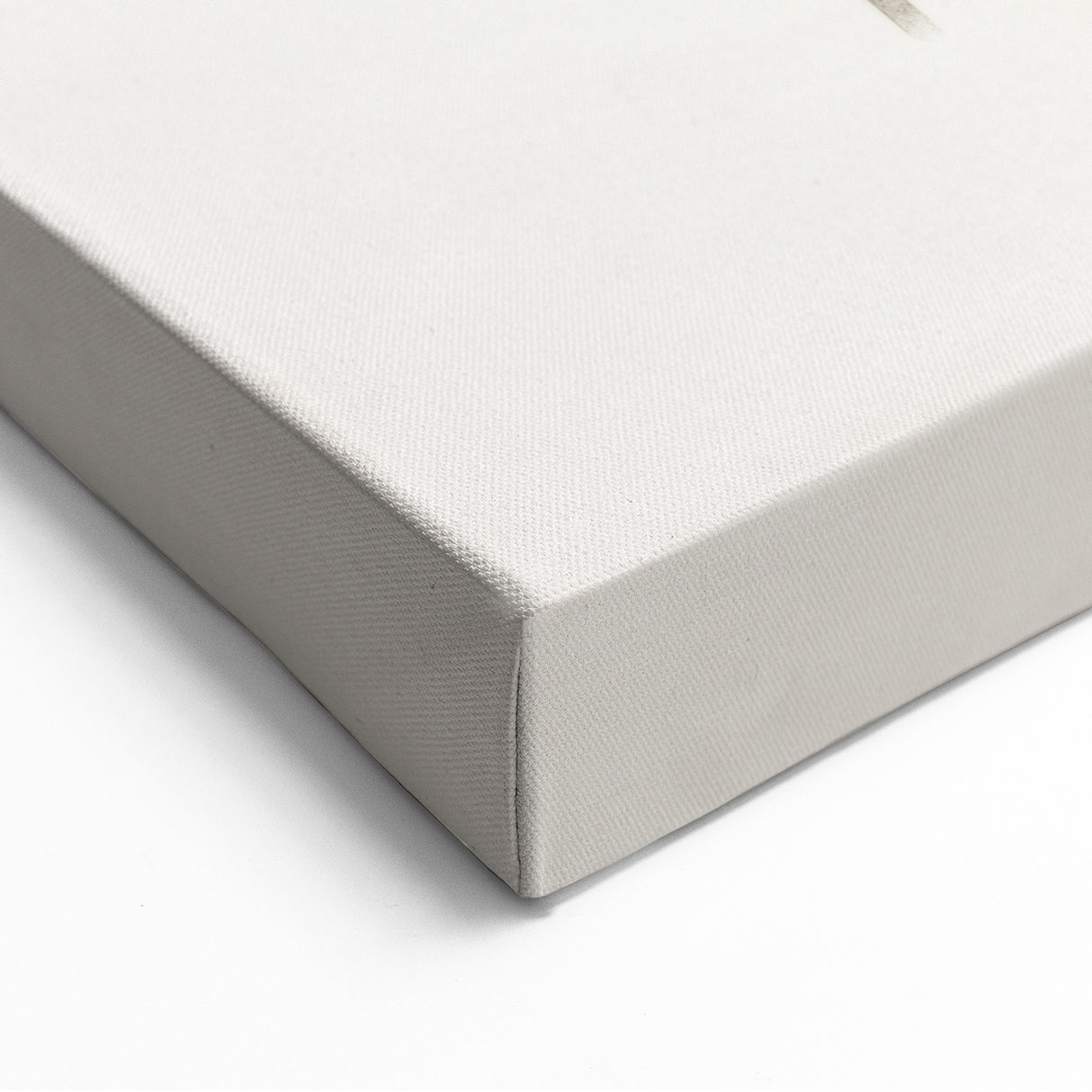 Minimalist Botanical Wall Art: Delicate Branch Design in Soft Neutrals