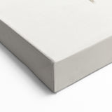 Minimalist Botanical Wall Art: Delicate Branch Design in Soft Neutrals