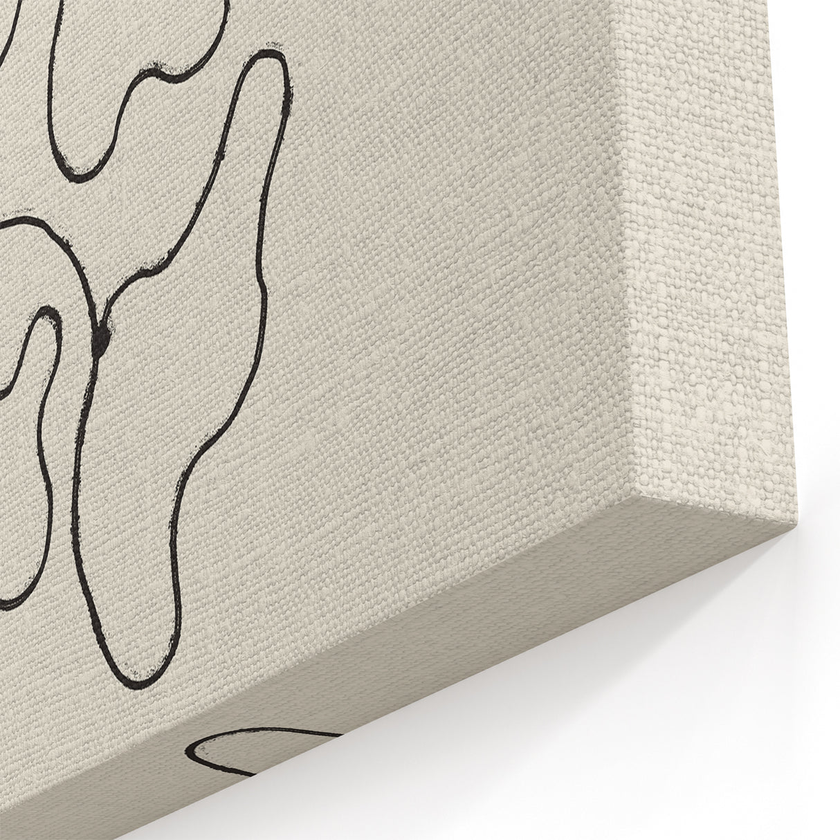 Minimalist Abstract Line Art: Organic Shapes in Monochrome Design