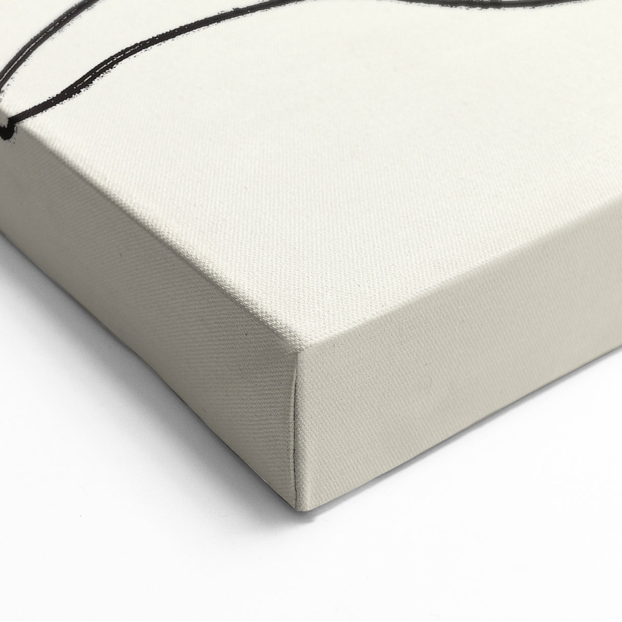 Minimalist Abstract Line Art: Organic Leaf Forms in Monochrome Design