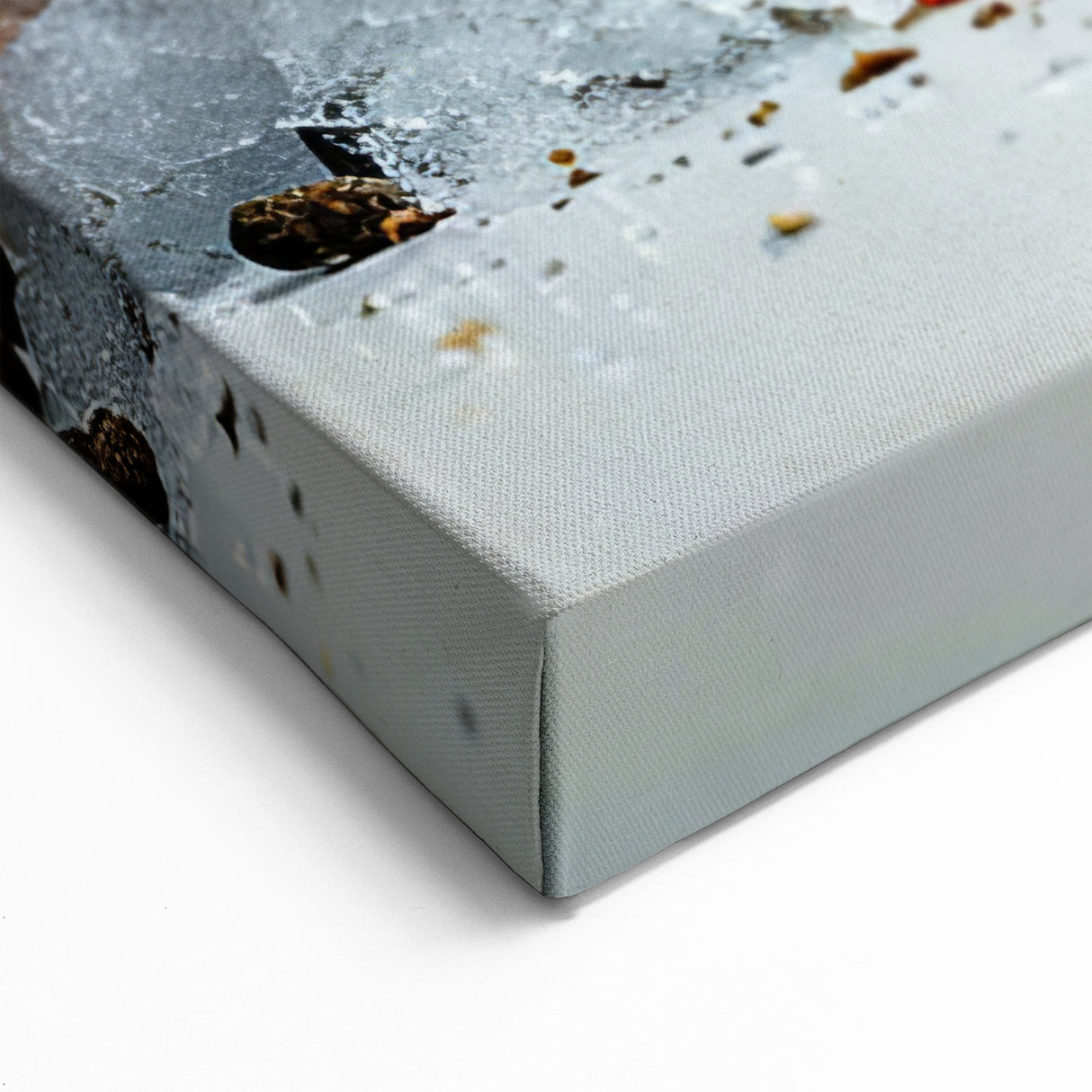 Luxurious Shrimp & Shellfish Wall Art - Coastal Marine Life Decor