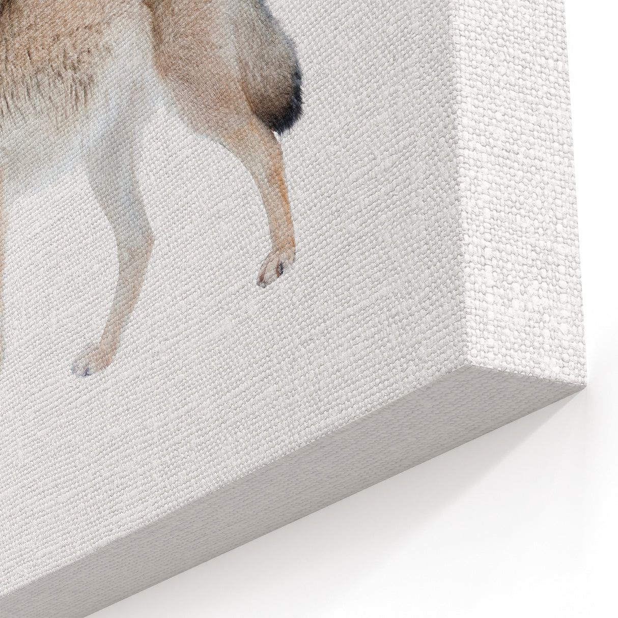 Majestic Wolf Wall Art - Premium Canvas, Framed, and Acrylic Prints