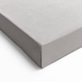 Forest Wolf Wall Art - Nature-Inspired Canvas, Framed, and Acrylic Prints