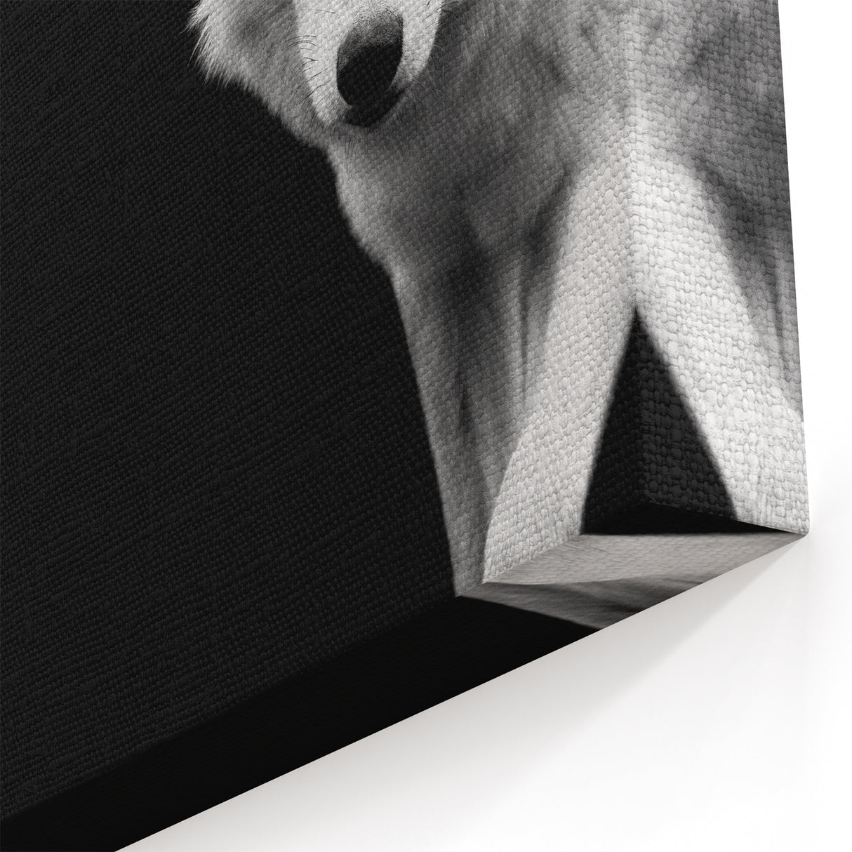 Black and White Wolf Wall Art - Striking Canvas, Framed, and Acrylic Prints