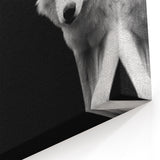 Black and White Wolf Wall Art - Striking Canvas, Framed, and Acrylic Prints