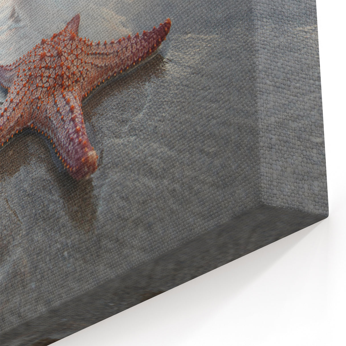 Serene Starfish Wall Art - Coastal Marine Life Canvas & Framed Decor
