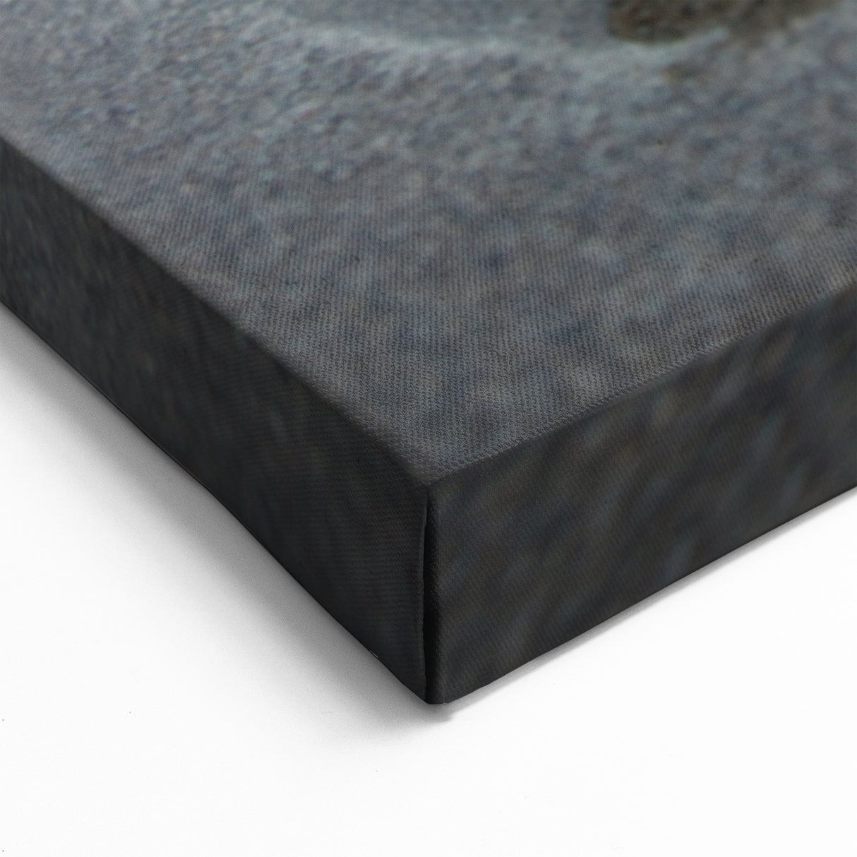 Serene Starfish Wall Art - Coastal Marine Life Canvas & Framed Decor