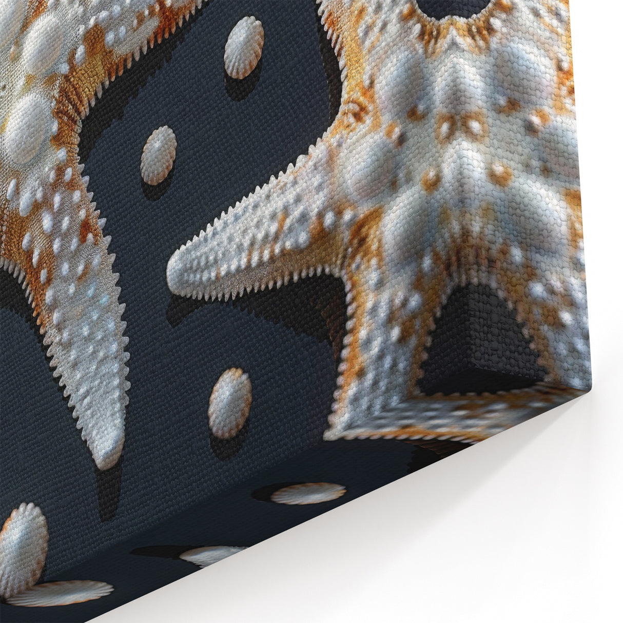 Intricate Starfish Wall Art - Marine Life Canvas & Framed Prints