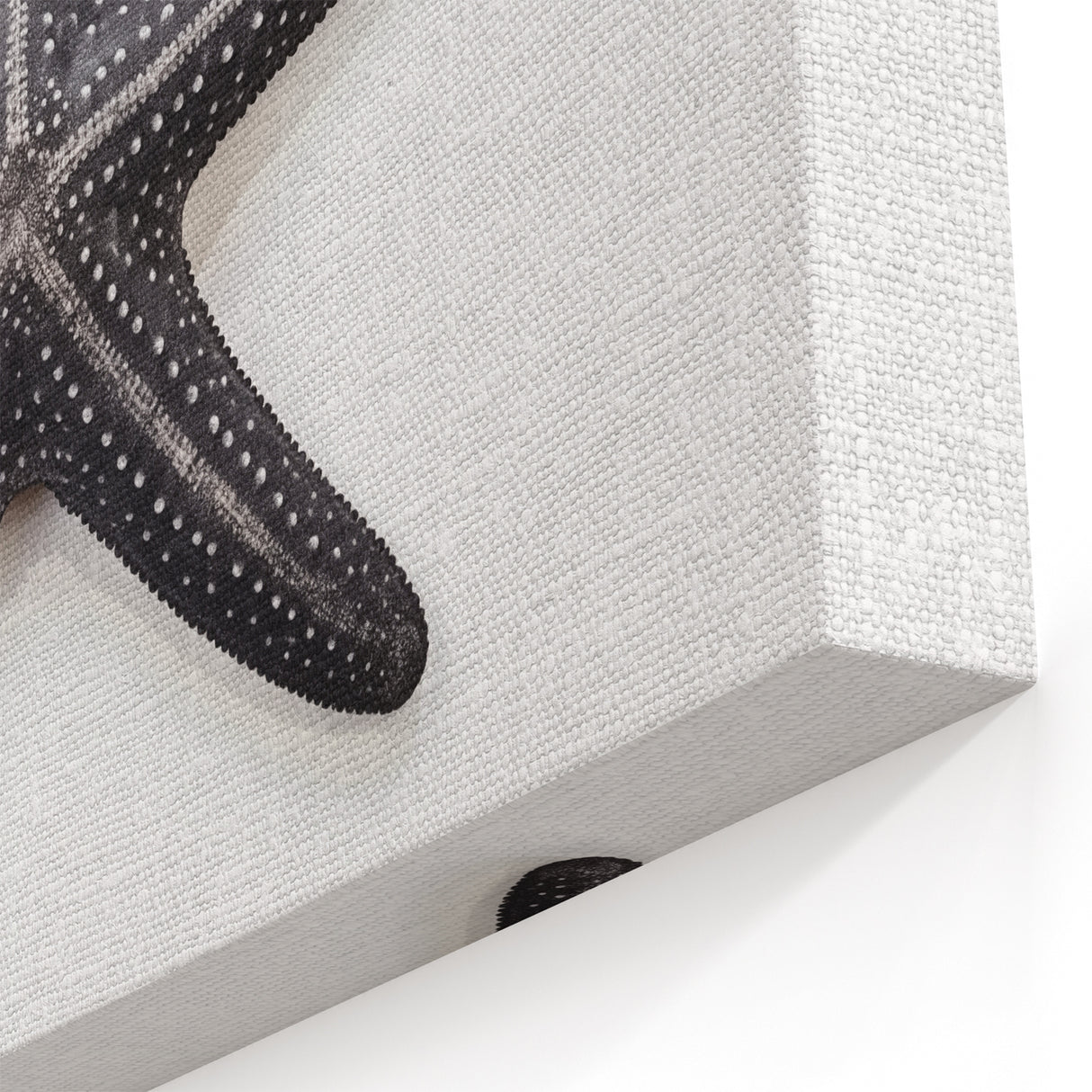 Modern Black Starfish Wall Art - Minimalist Marine Life Canvas Print