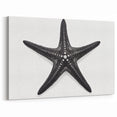 Black Starfish Wall Art - Elegant Marine Life Canvas & Framed Print