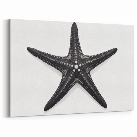 Black Starfish Wall Art - Elegant Marine Life Canvas & Framed Print