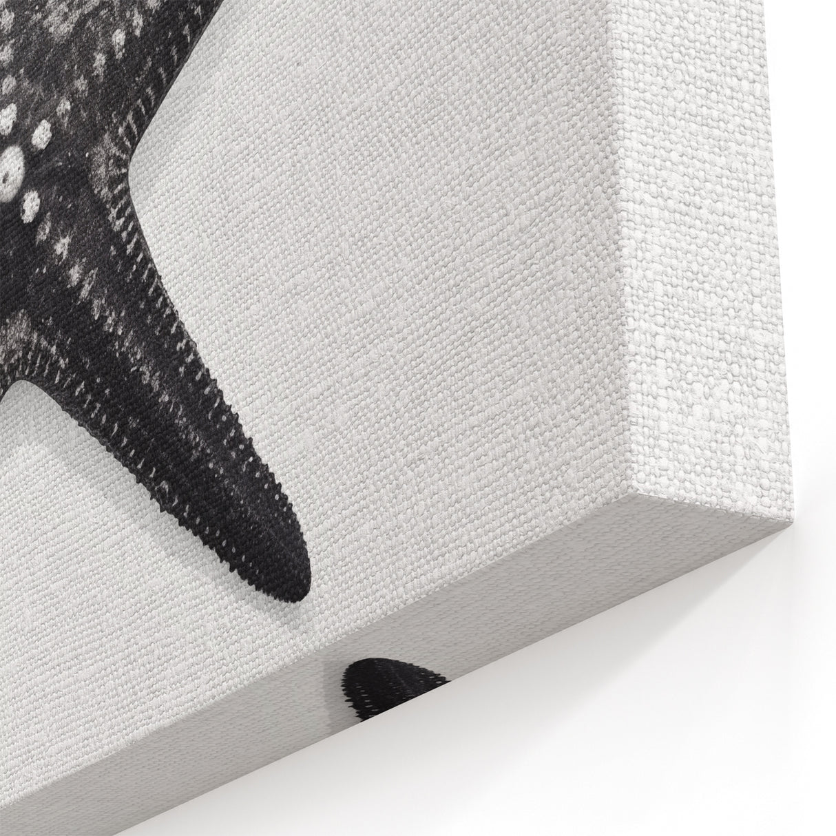Black Starfish Wall Art - Elegant Marine Life Canvas & Framed Print
