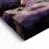 Vibrant Orange Starfish Wall Art - Lively Coral Reef Marine Decor