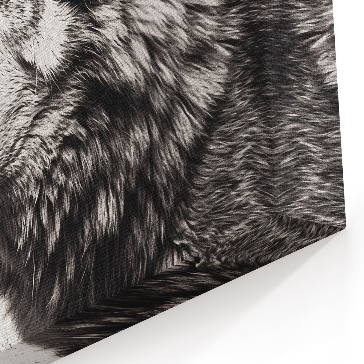 Fierce Wolf Art - Dynamic Canvas, Framed, and Acrylic Prints