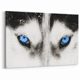 Intense Blue Eyes Wolf Art - Striking Canvas, Framed, and Acrylic Prints