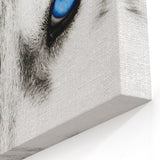 Intense Blue Eyes Wolf Art - Striking Canvas, Framed, and Acrylic Prints