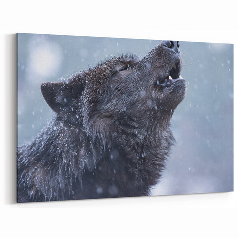 Howling Wolf in Snow Art - Captivating Canvas, Framed, and Acrylic Prints