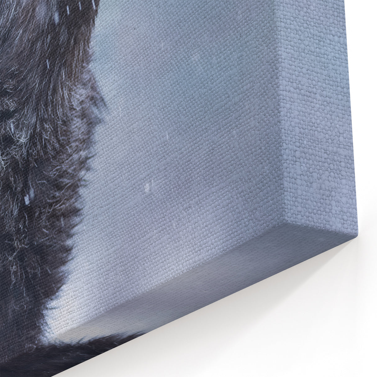 Howling Wolf in Snow Art - Captivating Canvas, Framed, and Acrylic Prints