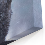 Howling Wolf in Snow Art - Captivating Canvas, Framed, and Acrylic Prints