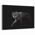 Stealthy Wolf in the Night Art - Dramatic Canvas, Framed, and Acrylic Prints