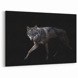 Stealthy Wolf in the Night Art - Dramatic Canvas, Framed, and Acrylic Prints