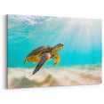 Stunning Turtle Wall Art – Ocean Breeze Canvas & Framed Marine Decor