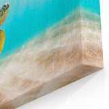 Stunning Turtle Wall Art – Ocean Breeze Canvas & Framed Marine Decor