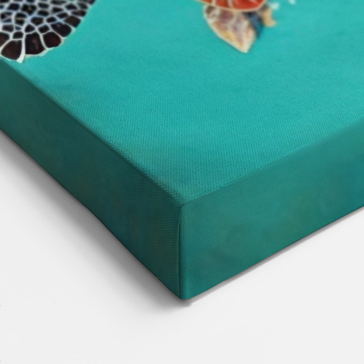 Colorful Turtle Canvas Art – Tropical Paradise Marine Wall Decor