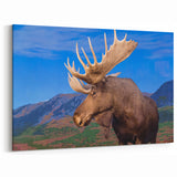 Majestic Elk Canvas Print - Rustic Wildlife Art & Framed Decor