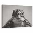Monochrome Turtle Wall Art – Modern Black & White Marine Decor