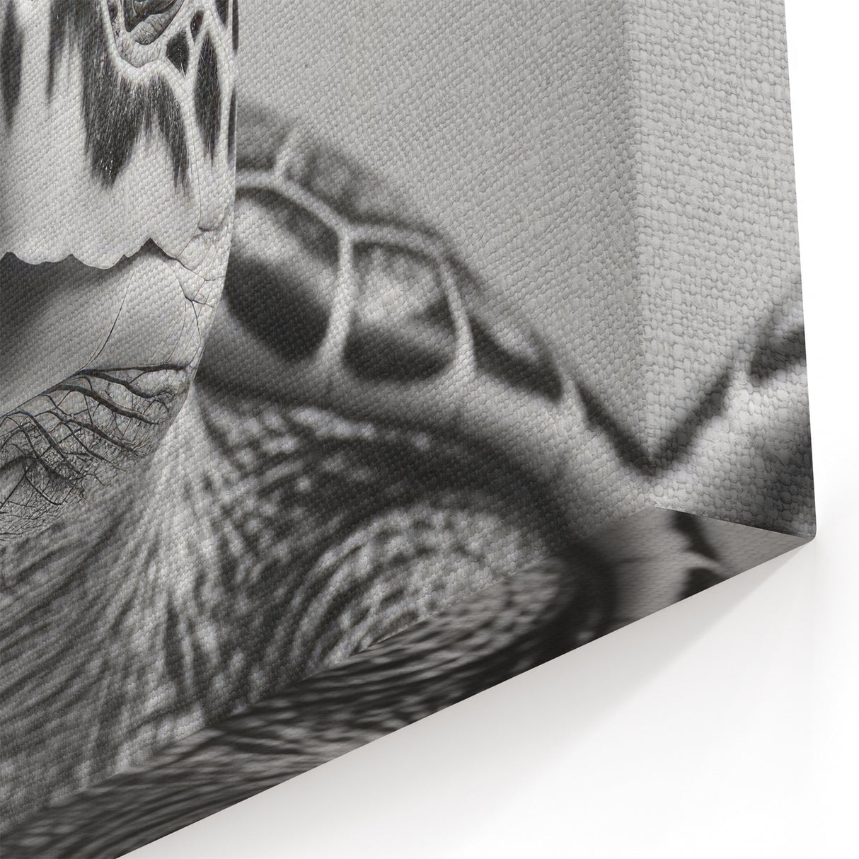 Monochrome Turtle Wall Art – Modern Black & White Marine Decor