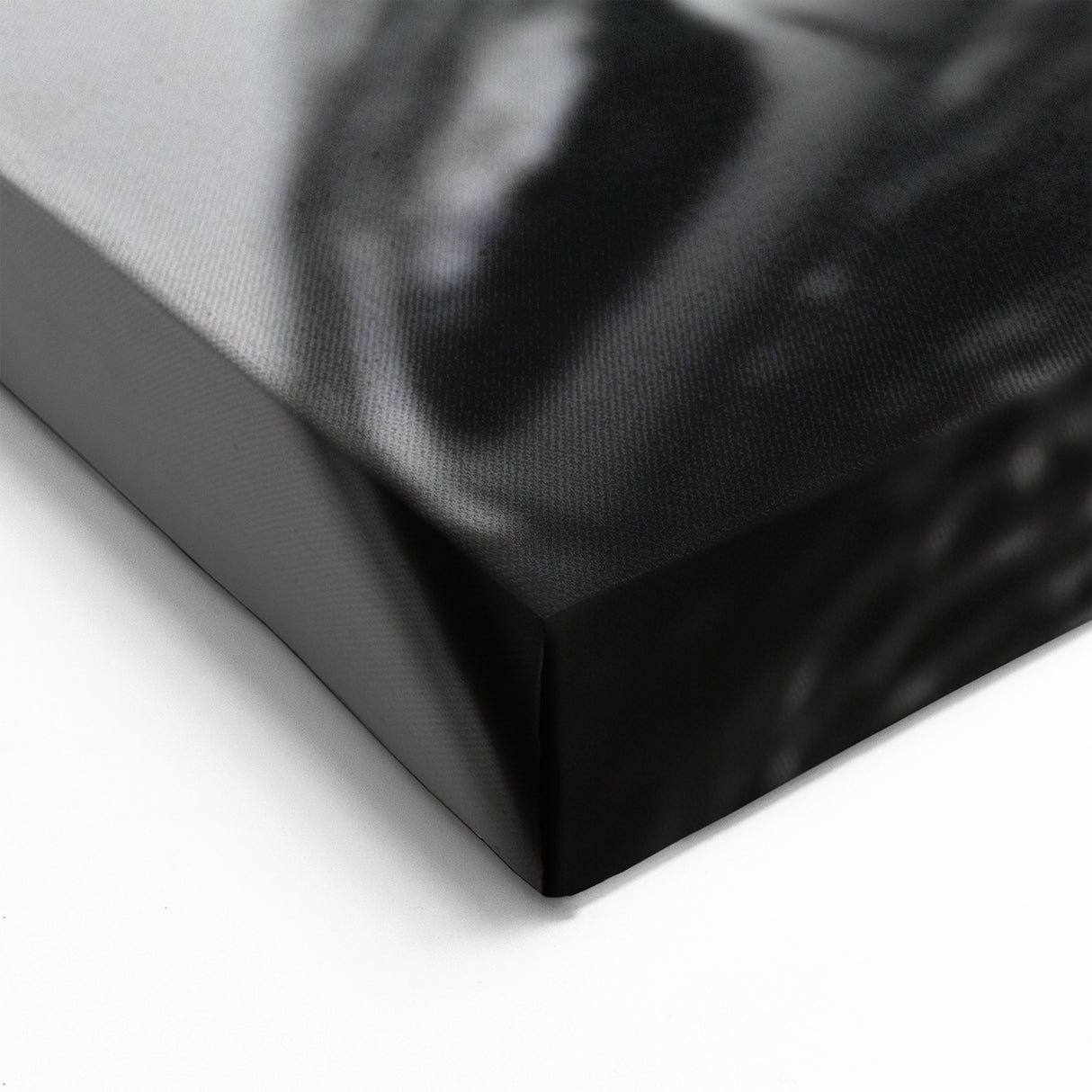 Monochrome Turtle Wall Art – Modern Black & White Marine Decor