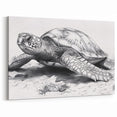 Detailed Turtle Sketch Art – Modern Black & White Marine Decor