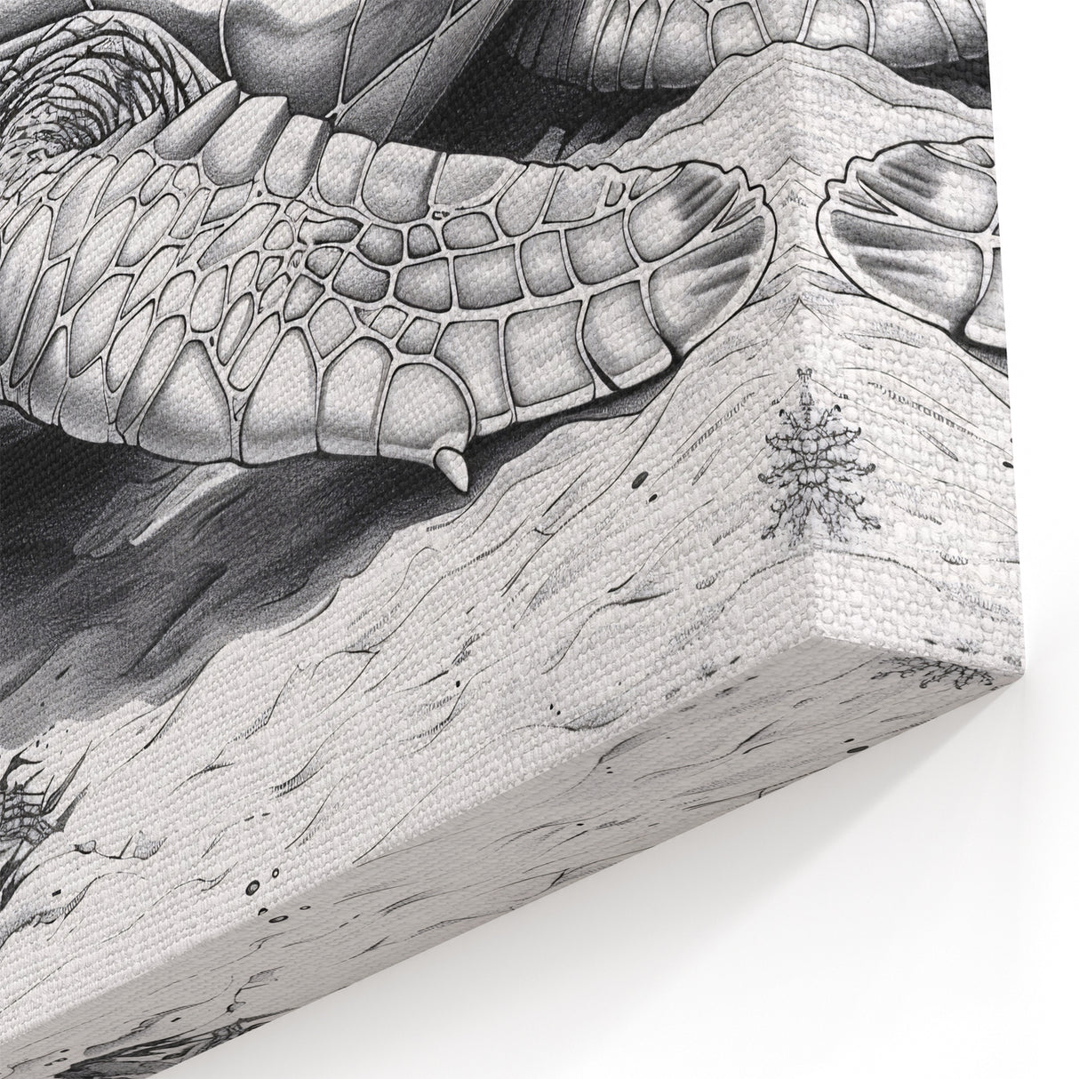 Detailed Turtle Sketch Art – Modern Black & White Marine Decor