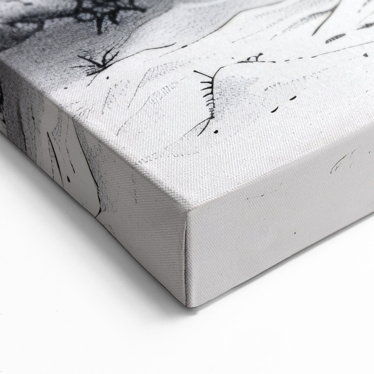 Detailed Turtle Sketch Art – Modern Black & White Marine Decor