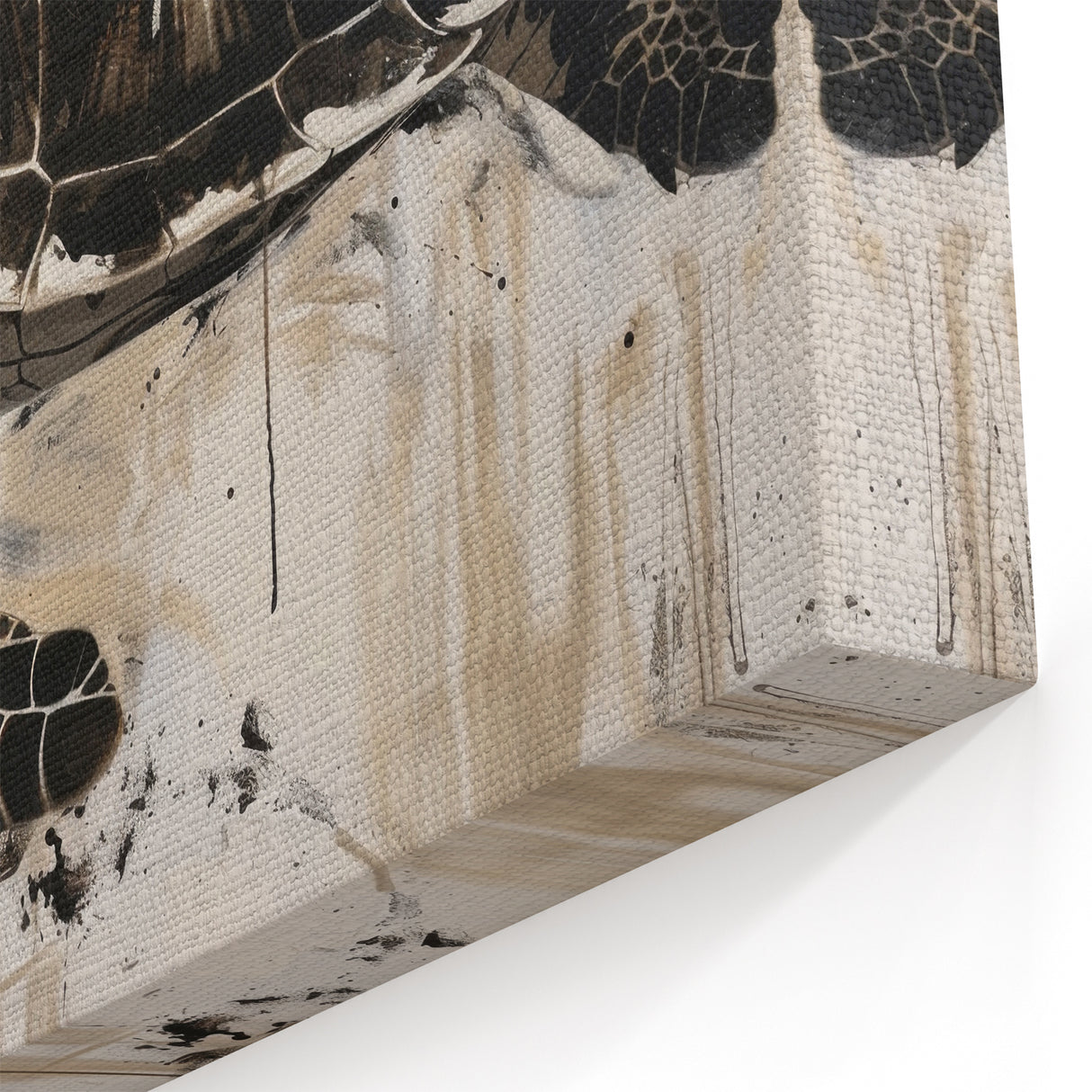 Abstract Turtle Art – Modern Monochrome Marine Life Canvas Print