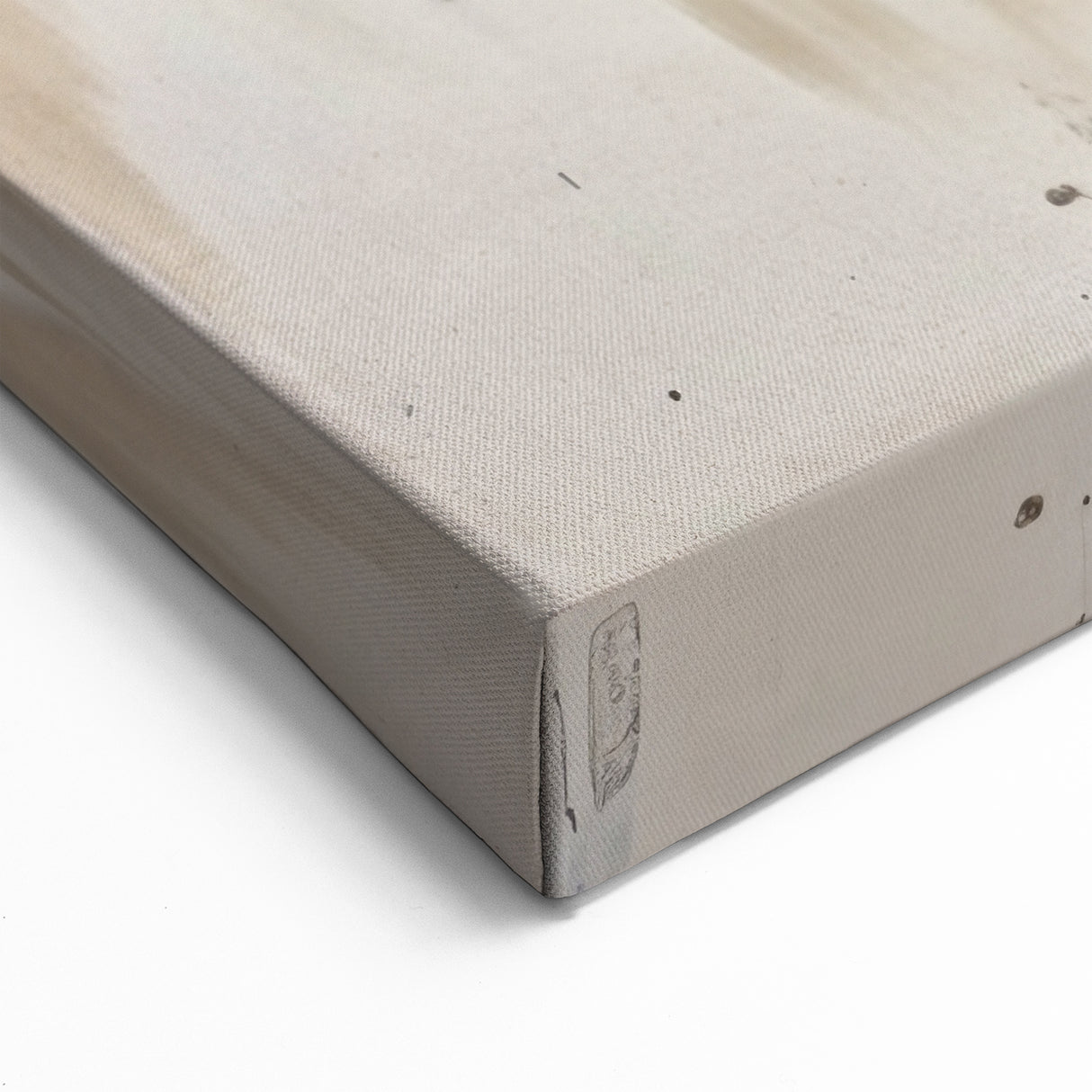 Abstract Turtle Art – Modern Monochrome Marine Life Canvas Print