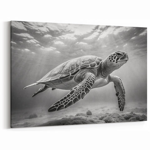 Black & White Turtle Art – Underwater Marine Life Monochrome Decor