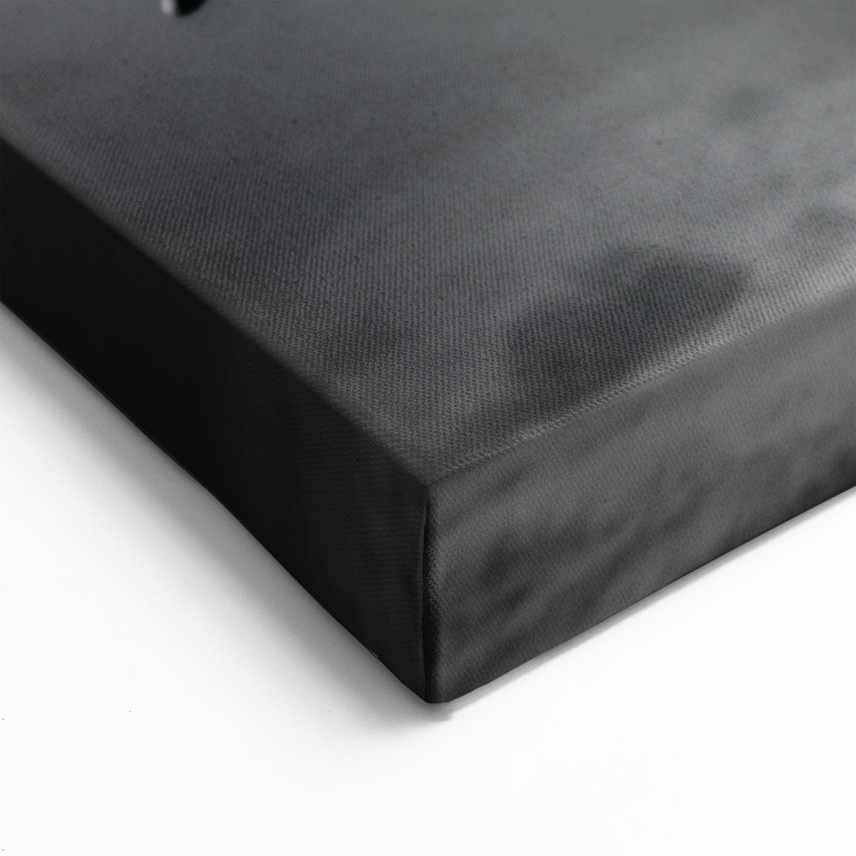 Black & White Turtle Art – Underwater Marine Life Monochrome Decor