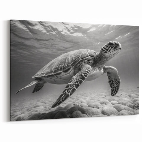 Monochrome Turtle Underwater Art – Black & White Marine Decor
