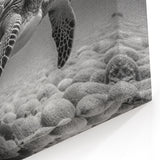 Monochrome Turtle Underwater Art – Black & White Marine Decor