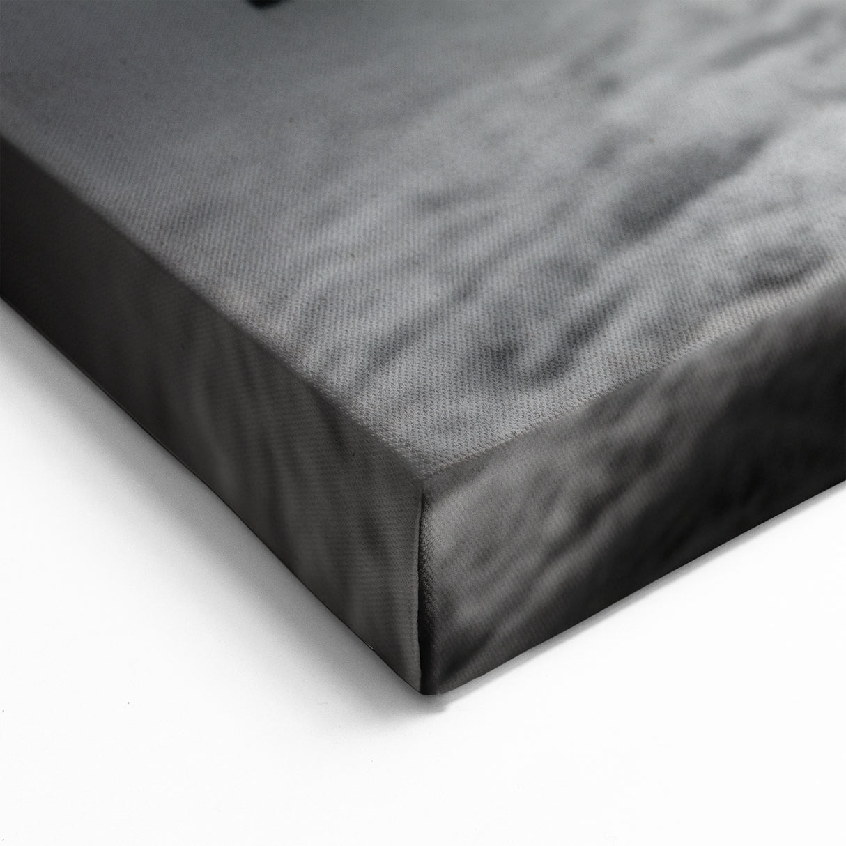 Monochrome Turtle Underwater Art – Black & White Marine Decor