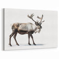 Refined Elk Canvas Print - Modern Wildlife Art & Framed Decor