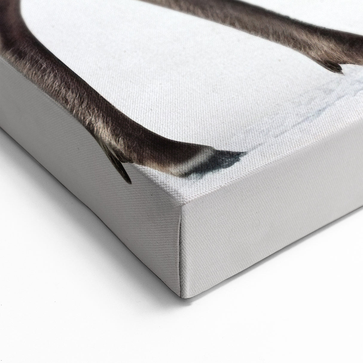 Refined Elk Canvas Print - Modern Wildlife Art & Framed Decor